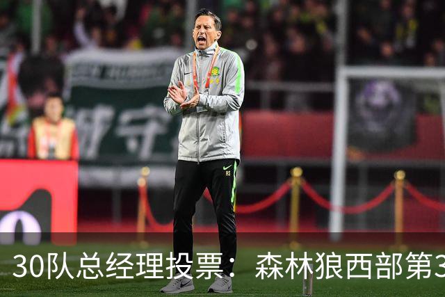 30队总经理投票：森林狼西部第3，却又被选为最难预测